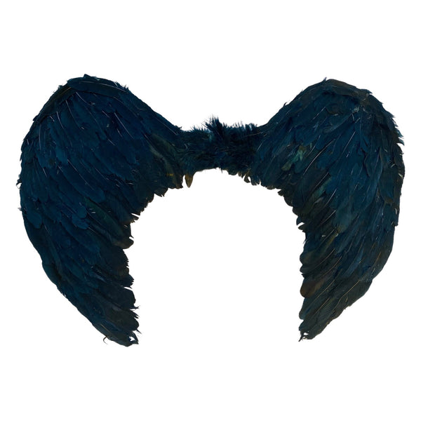 Costume Wings