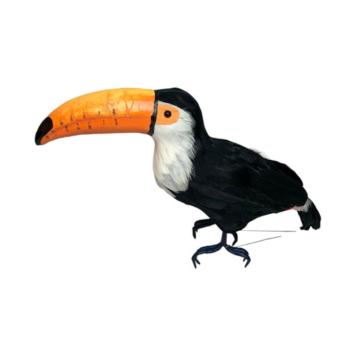 TOUCAN WITH REAL FEATHERS - 36x12x28-1
