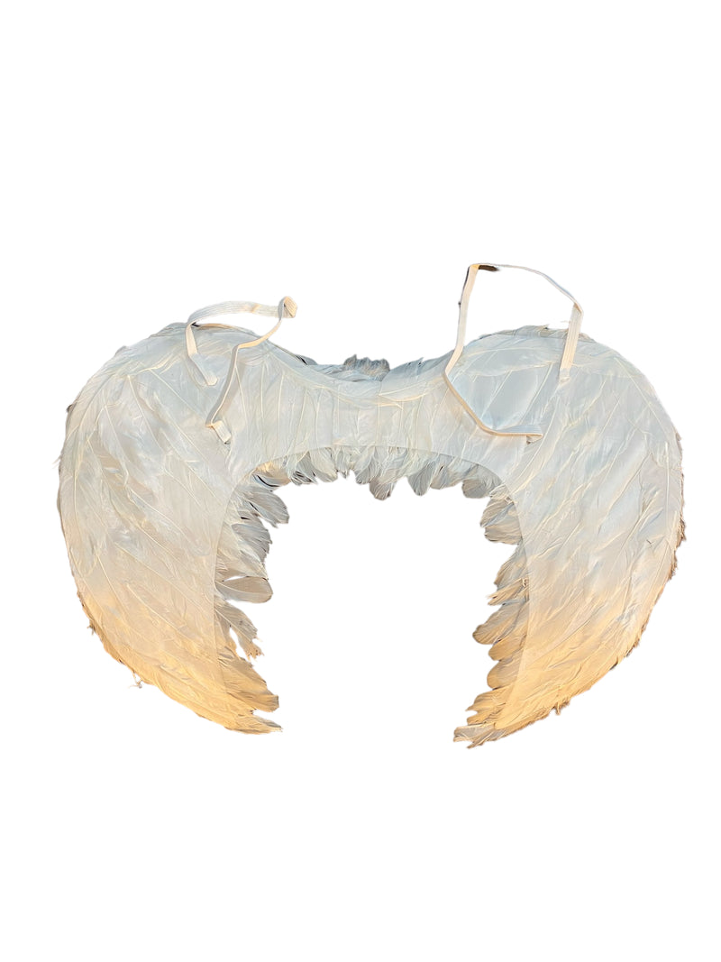 Small Angel Wings White