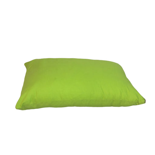 Pistach Pillow-1