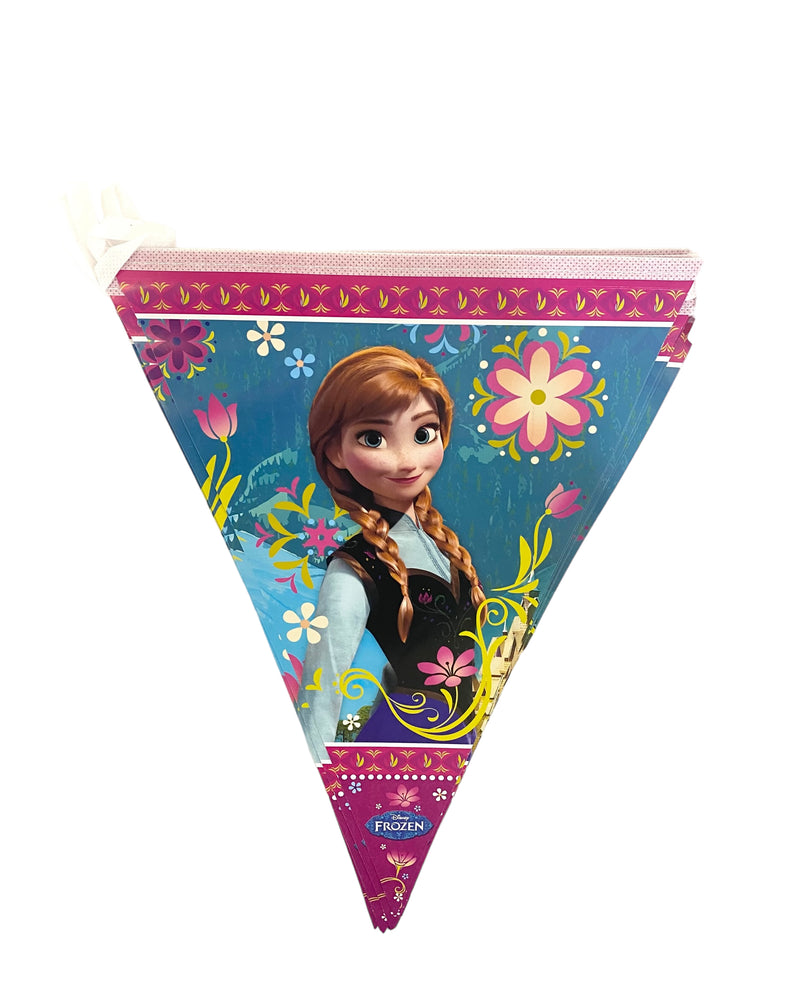 FROZEN FLAG BANNER