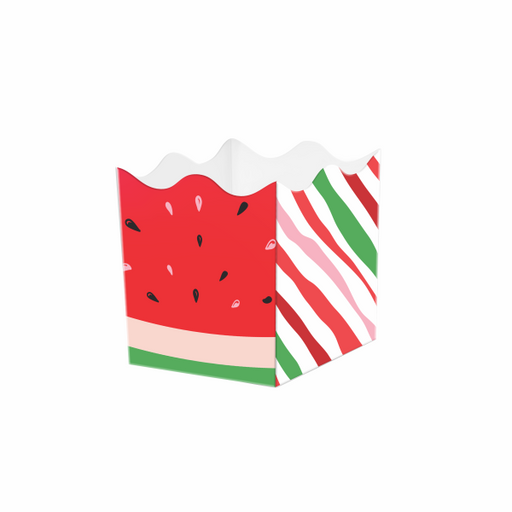 WATERMELON MINI CASHPOTS - CONTAINERS