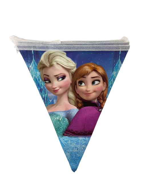 FROZEN FLAG BANNER